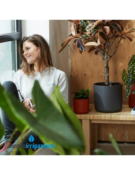 Vaso da Interno moderno - Elho B.For Soft Round - Anthracite - con pianta