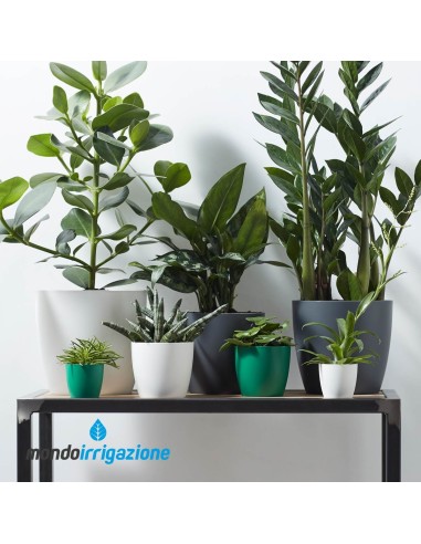 Vaso da Interno colorato - Elho Brussels Round Mini - White - composizione colori