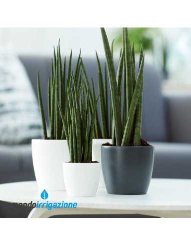 Vaso da Interno colorato - Elho Brussels Round Mini - Anthracite - combinazione colori