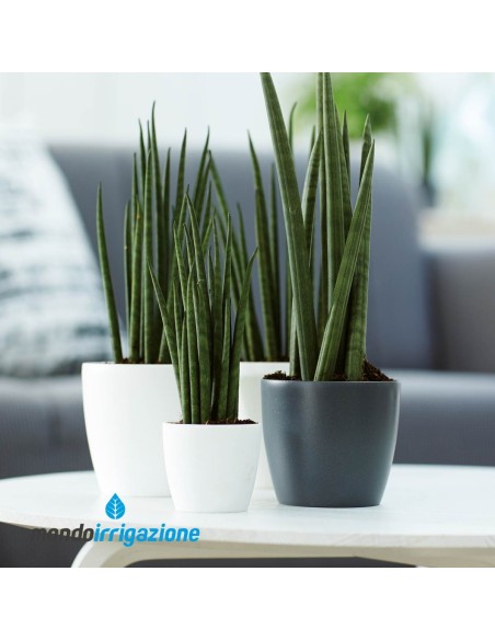 Vaso da Interno colorato - Elho Brussels Round Mini - Anthracite - combinazione colori