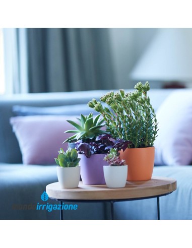 Vaso da Interno colorato - Elho Brussels Round Mini - New Violet - composizione colore