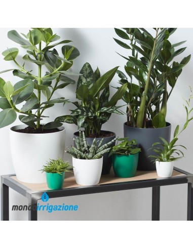 Vaso da Interno colorato - Elho Brussels Round Mini - Lucky Green - composizione colore