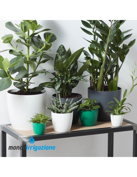 Vaso da Interno colorato - Elho Brussels Round Mini - Lucky Green - composizione colore