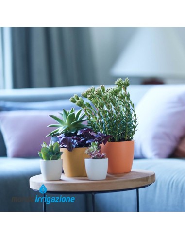 Vaso da Interno colorato - Elho Brussels Round Mini - Velvet Gold - composizione colori