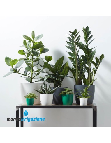 Vaso da Interno design - Elho Brussel Round - White - composizione colori