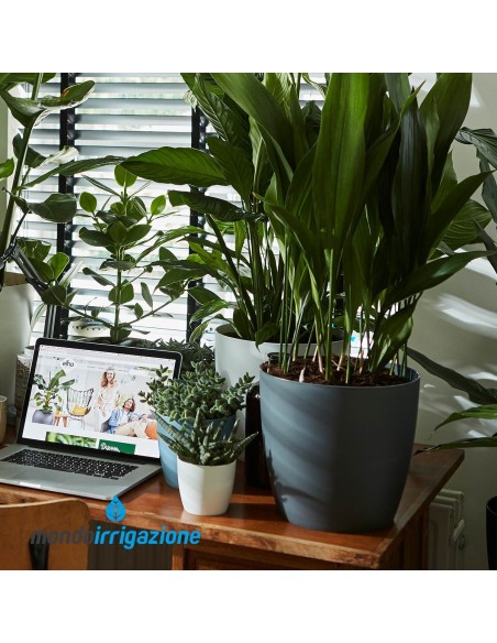 Vaso da Interno design - Elho Brussel Round - Anthracite - con pianta