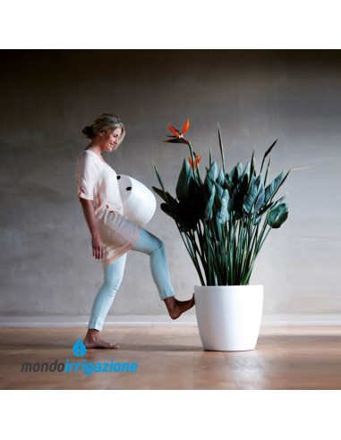 Vaso da Interno alto con ruote - Elho Brussel Round Wheels 35cm - White - con pianta