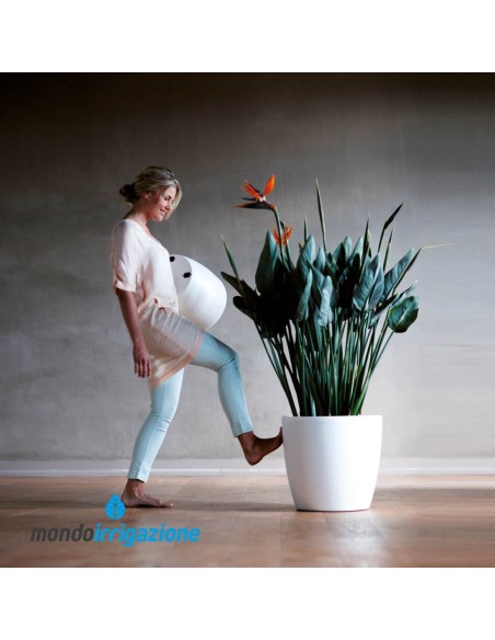 Vaso da Interno alto con ruote - Elho Brussel Round Wheels 35cm - White - con pianta