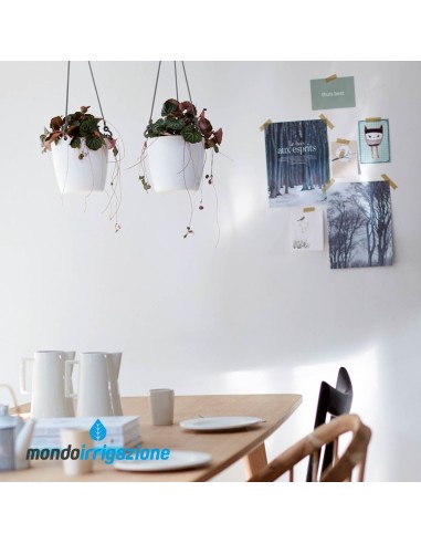 Vaso Pensile da interno - Elho Brussels Hanging Basket - White - con piante