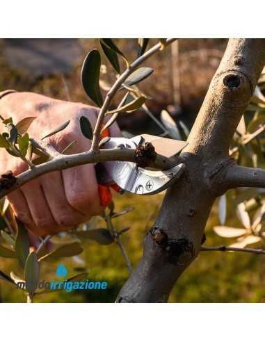 Forbice Lowe 10 a battente - Professionale giardinaggio e potatura - Taglio