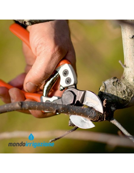 Forbice Stocker Ergo Light 21 doppio taglio - Professionale giardinaggio e potatura - in funzione