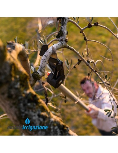 Forbice ad asta lunga telescopica Stocker 230-400cm - Professionale potatura - Utilizzo