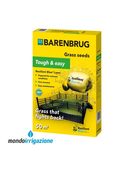 Resilient Blue Lawn - Semi prato Barenbrug alta resistenza resilienza