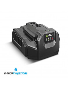 CH2100E - Caricabatterie Standard Ego