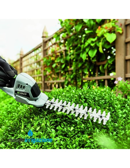 CHT2001E - Tagliasiepi Ego a batteria