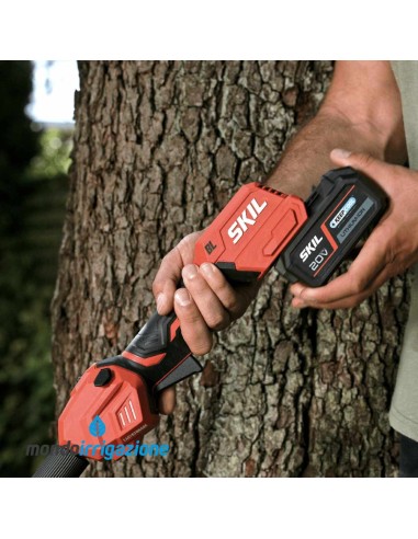 0250 CA - Decespugliatore Skil 20V - Batteria