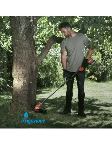 0250 CA - Decespugliatore a Batteria Skil 20V - Acceso