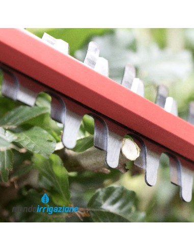 0430 CA - Tagliasiepi a Batteria Skil 20V - Taglio rami