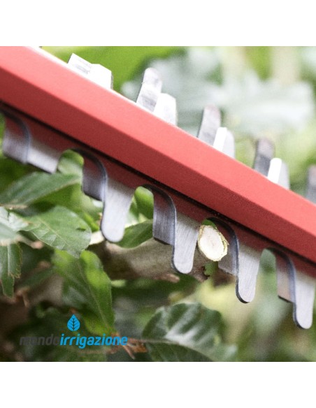 0430 CA - Tagliasiepi a Batteria Skil 20V - Taglio rami