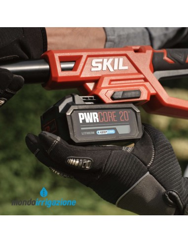 0640 CA - Tagliasiepi Estensibile a Batteria Skil 20V - Batteria