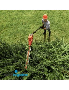 0640 CA - Tagliasiepi Estensibile a Batteria Skil 20V 2