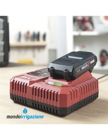 3123 AA - Caricabatterie SKIL da 6,0 Ah - Batteria da 2,5 Ah