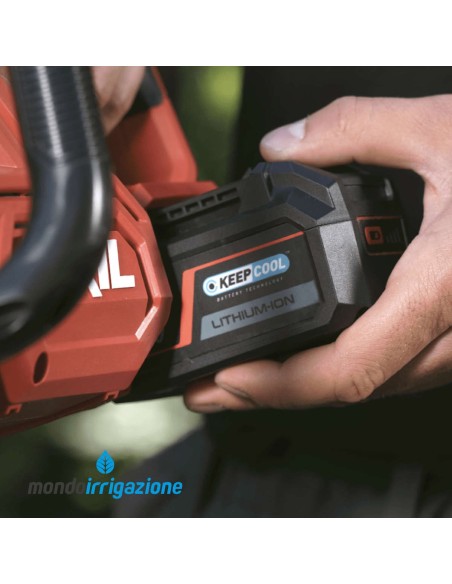 0534 CA - Motosega a Batteria Skil - Batteria