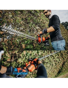 Tagliasiepi a batteria Echo DHC-310 40V 2