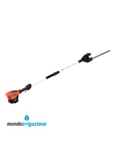 Tagliasiepi ad asta a batteria Echo DHCA-310 40V