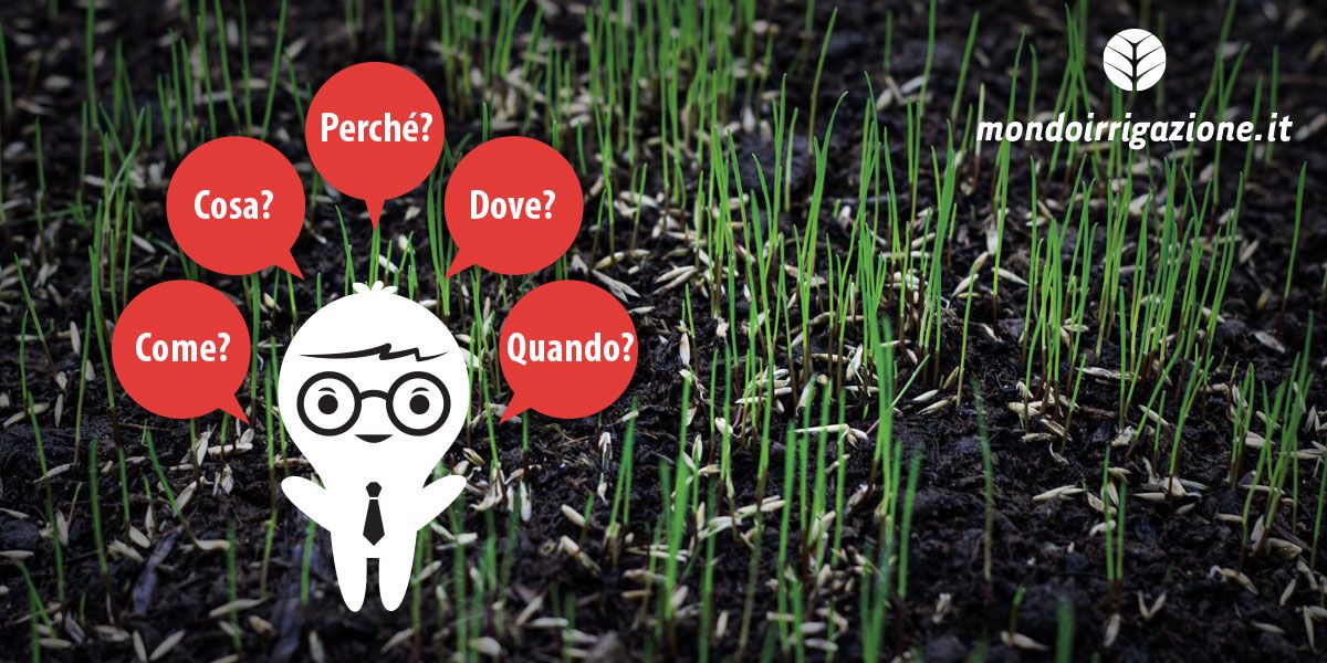 Prato Inglese: Consigli per la semina e la corretta germinazione