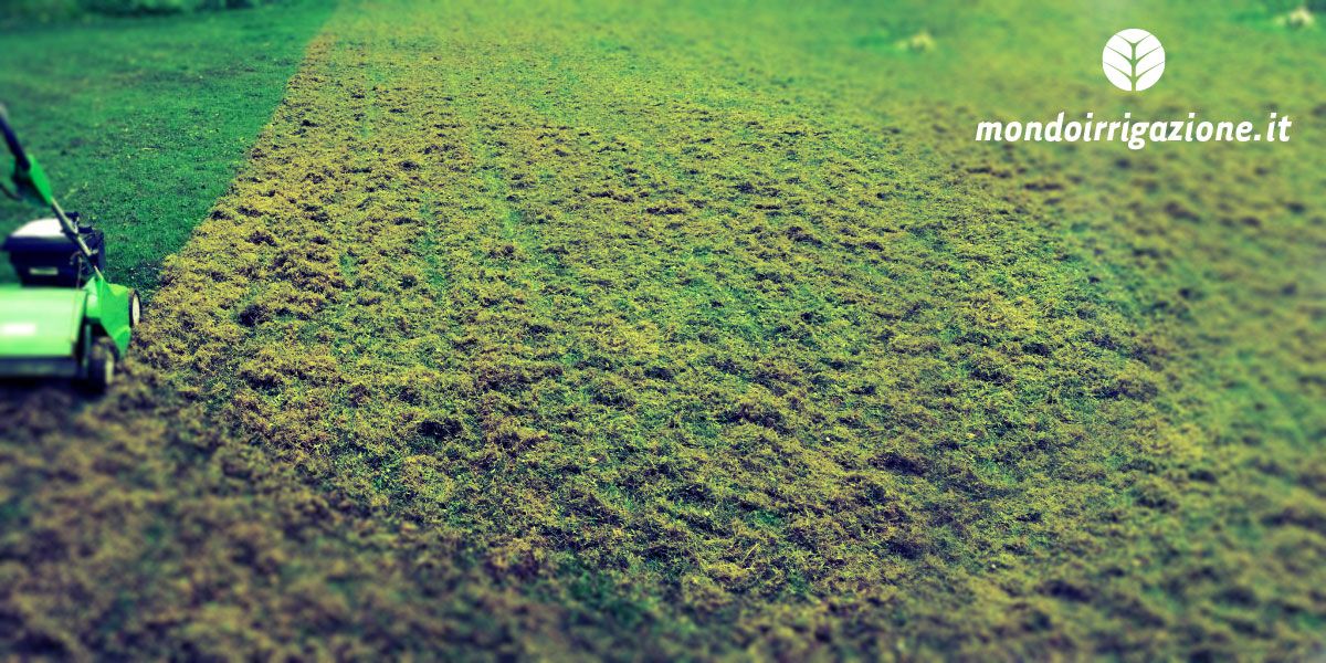 Arieggiare il prato: come e quando si effettua l'arieggiatura