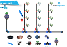 Schema impianto irrigazione a goccia frutteto alberi