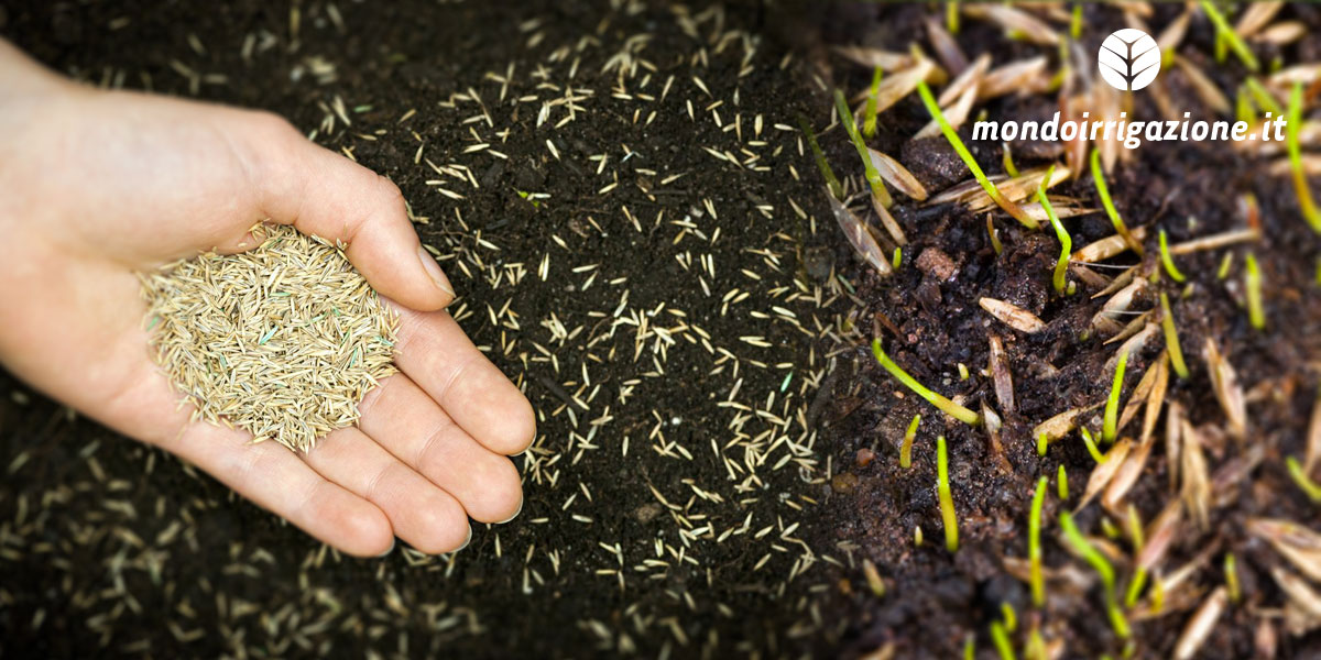 Quando seminare il prato. Periodo migliore