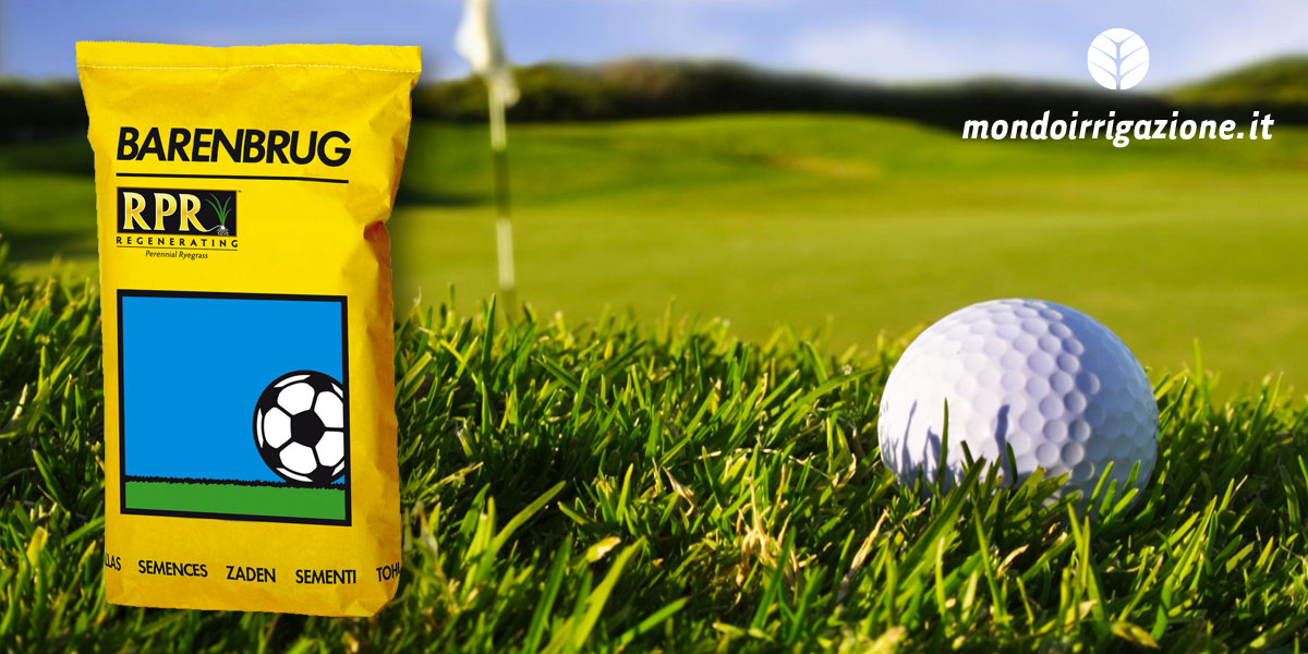 Semi prato per impianti sportivi, golf e calcio